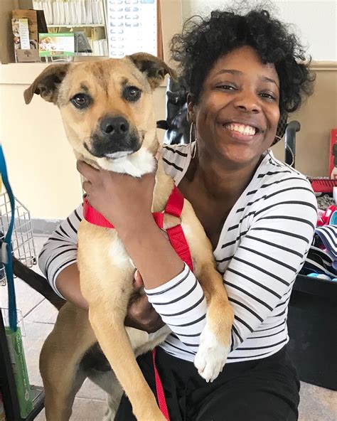 Wichita humane society - Cheryl Heineken, executive director of the Humane Society of Wichita County, made a post about Eddie the dachshund mix on Thursday. In the post, she said the 1-year-old dog is a jerk who weighs 17 pounds but backs down from no one. “Eddie is an (expletive),” the post read, along with the poop emoji. According to the post, Eddie hates other ...